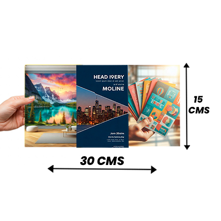 Impresion de flyers economicos